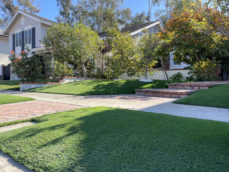 Front yard lawn with a curved walkway to the porch