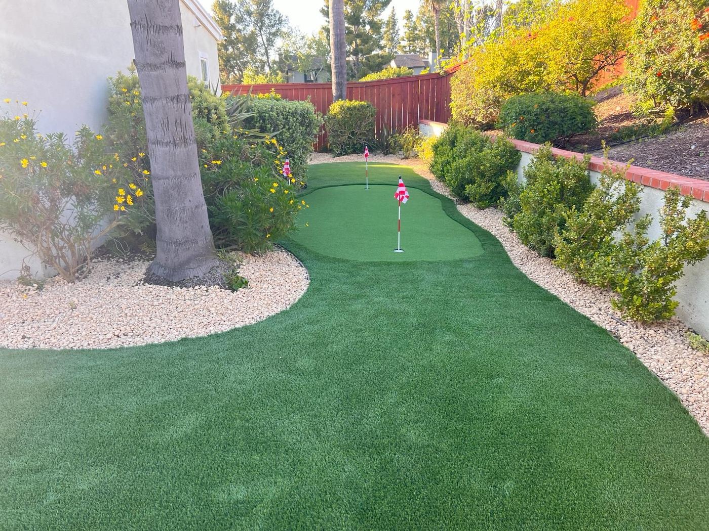 Putting green curving past a palm and decorative rock