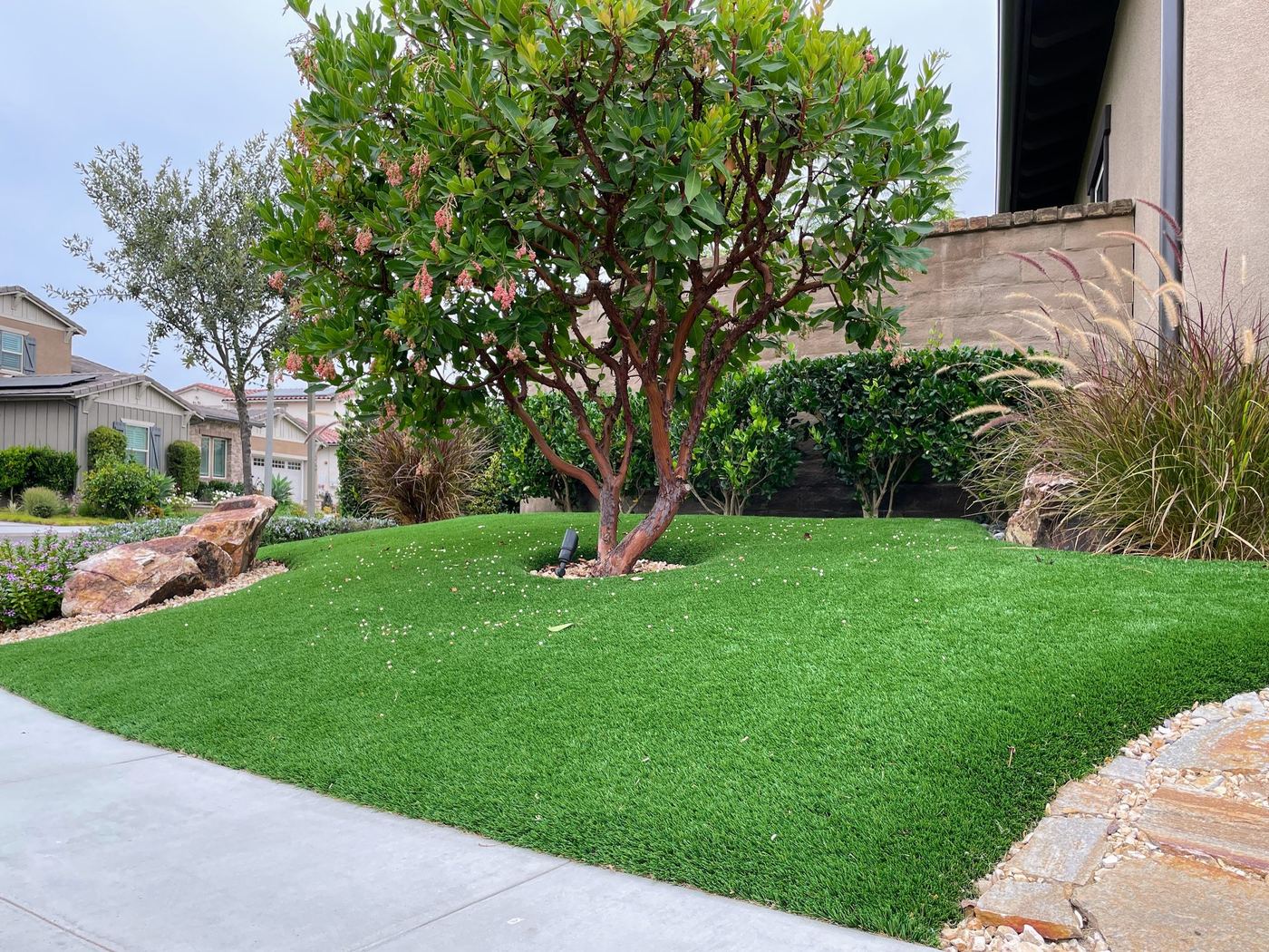 Curved lawn wrapping a mature tree, with rock and planting